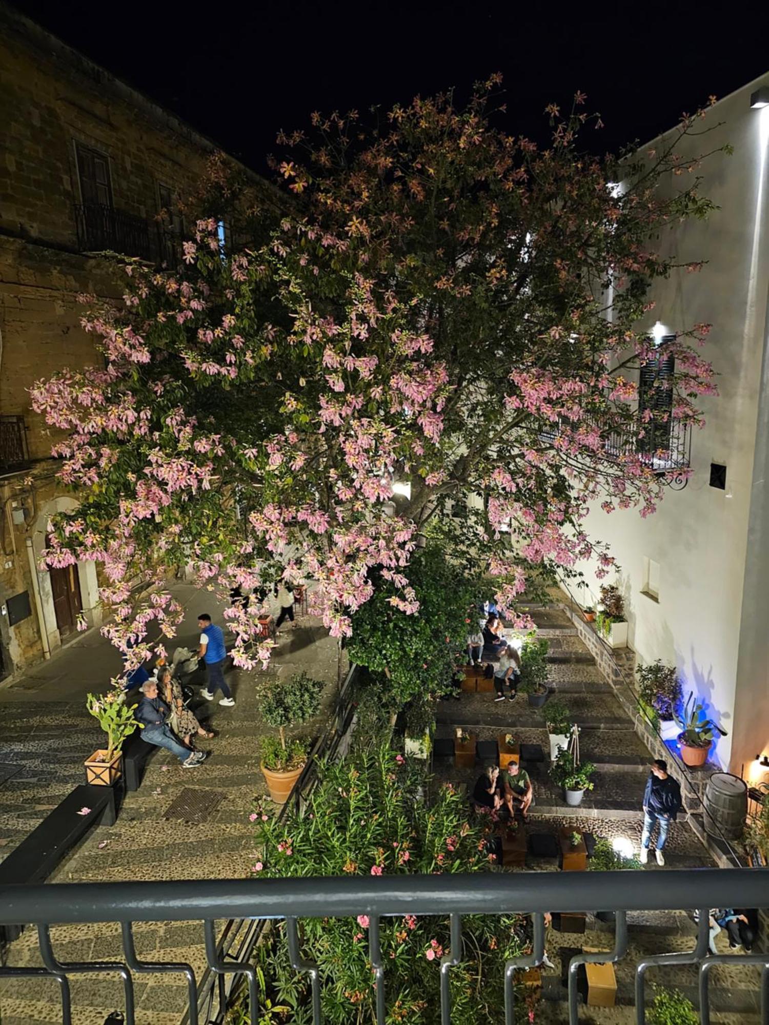 Villa Di Giorgi Apartments Center Cefalu Exterior photo